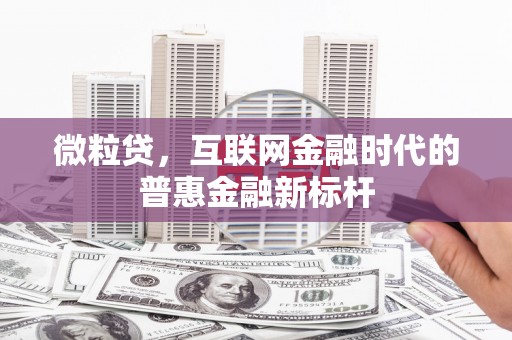 璧山微粒贷，互联网金融时代的普惠金融新标杆