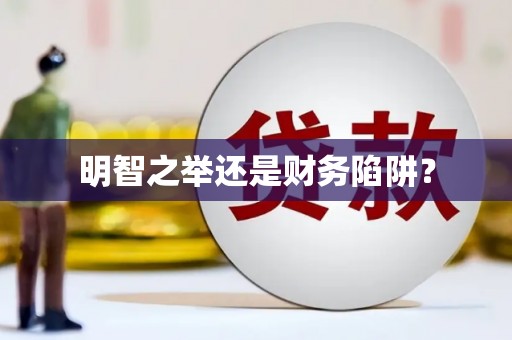 璧山明智之举还是财务陷阱？