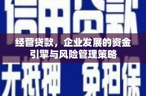 璧山经营贷款，企业发展的资金引擎与风险管理策略