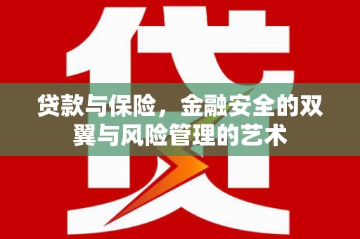 璧山贷款与保险，金融安全的双翼与风险管理的艺术