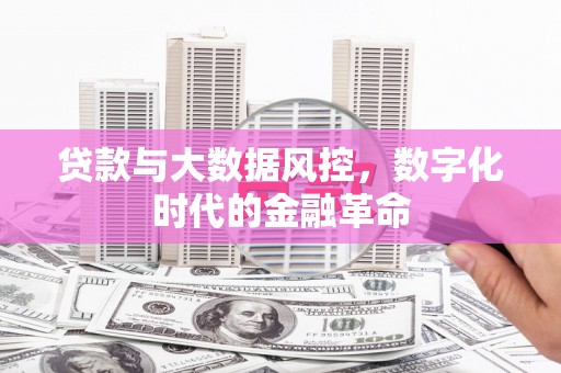 璧山贷款与大数据风控，数字化时代的金融革命