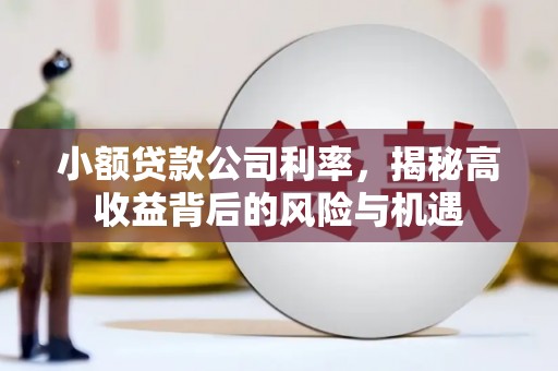 璧山小额贷款公司利率，揭秘高收益背后的风险与机遇