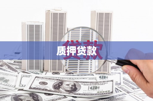 璧山质押贷款