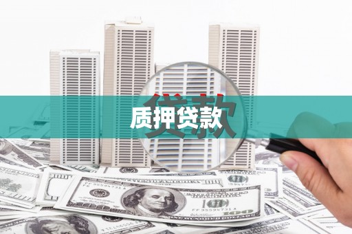 璧山质押贷款