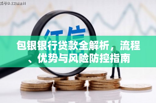 璧山包银银行贷款全解析，流程、优势与风险防控指南