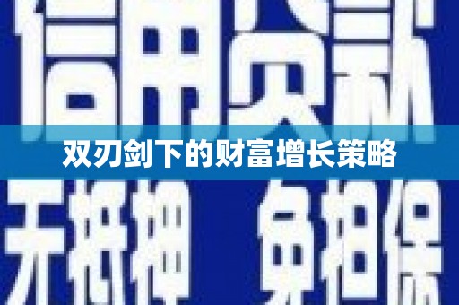 璧山双刃剑下的财富增长策略