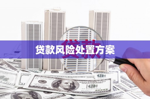 璧山贷款风险处置方案