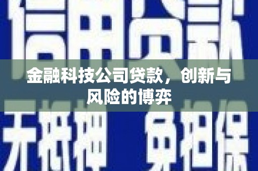 璧山金融科技公司贷款，创新与风险的博弈