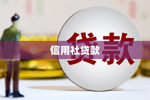 璧山信用社贷款
