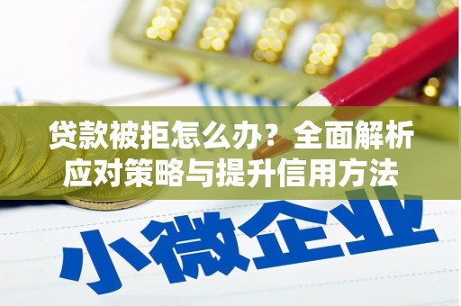 璧山贷款被拒怎么办？全面解析应对策略与提升信用方法