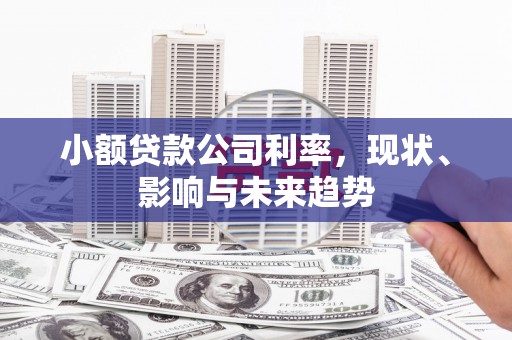 璧山小额贷款公司利率，现状、影响与未来趋势