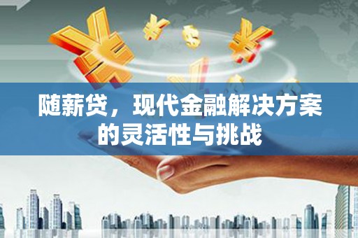 璧山随薪贷，现代金融解决方案的灵活性与挑战