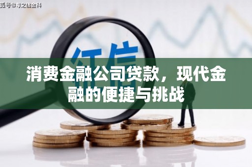 璧山消费金融公司贷款，现代金融的便捷与挑战