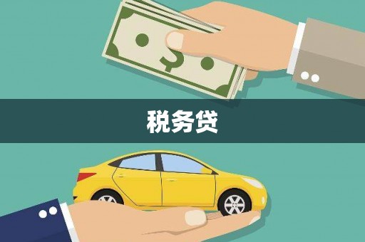 璧山税务贷