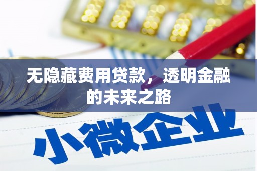 璧山无隐藏费用贷款，透明金融的未来之路