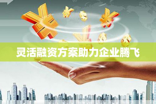 璧山灵活融资方案助力企业腾飞