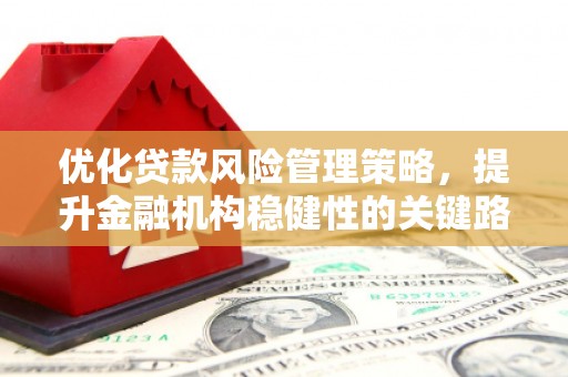 璧山优化贷款风险管理策略，提升金融机构稳健性的关键路径