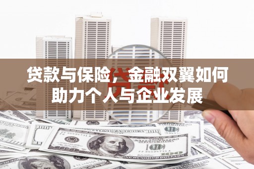 璧山贷款与保险，金融双翼如何助力个人与企业发展