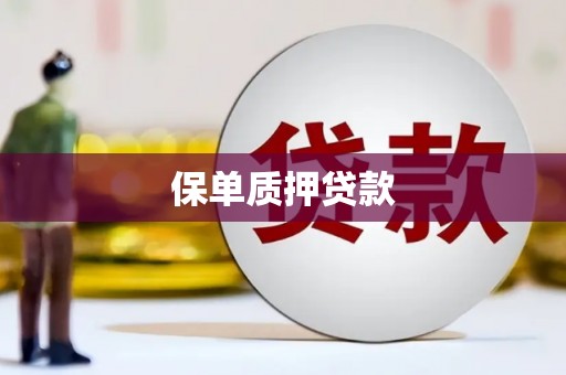 璧山保单质押贷款