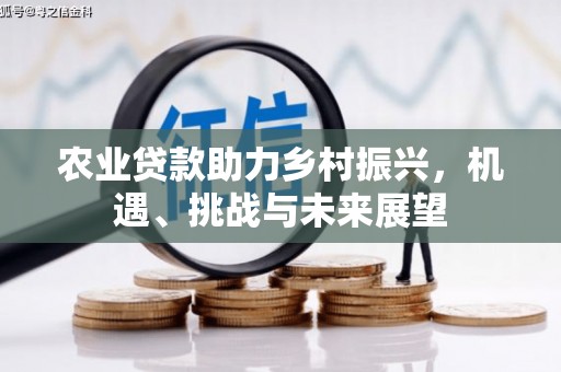 璧山农业贷款助力乡村振兴，机遇、挑战与未来展望