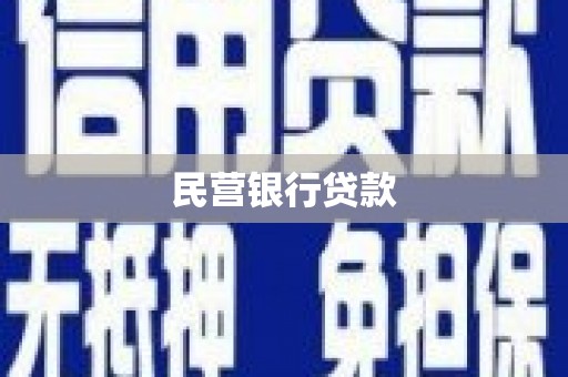 璧山民营银行贷款