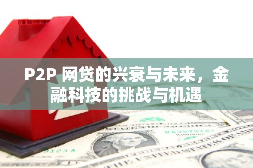 璧山P2P 网贷的兴衰与未来，金融科技的挑战与机遇