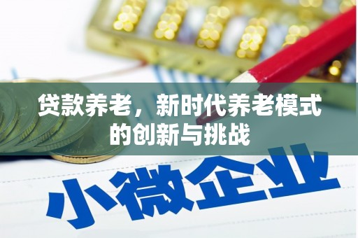 璧山贷款养老，新时代养老模式的创新与挑战
