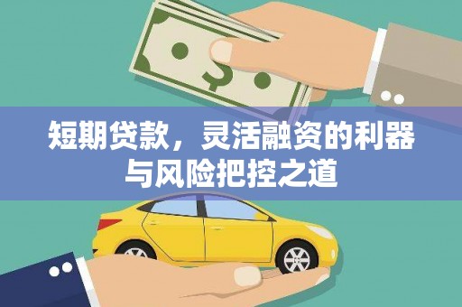 璧山短期贷款，灵活融资的利器与风险把控之道