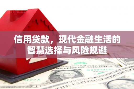 璧山信用贷款，现代金融生活的智慧选择与风险规避