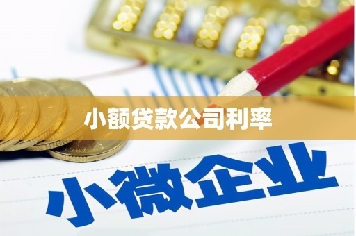 璧山小额贷款公司利率