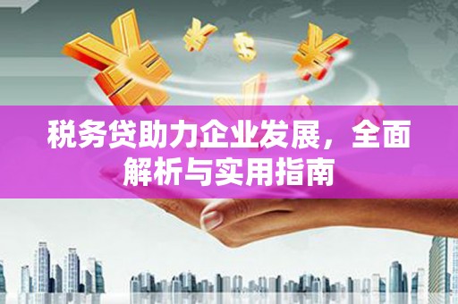 璧山税务贷助力企业发展，全面解析与实用指南