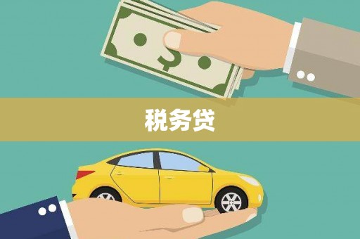 璧山税务贷