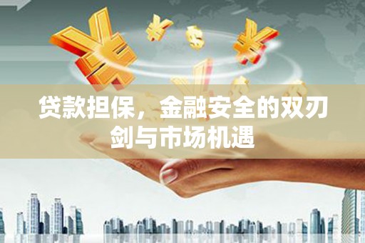 璧山贷款担保，金融安全的双刃剑与市场机遇