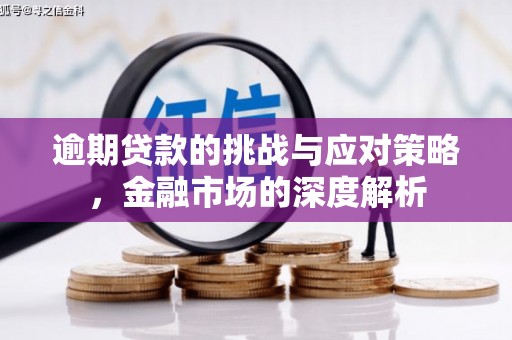 璧山逾期贷款的挑战与应对策略，金融市场的深度解析