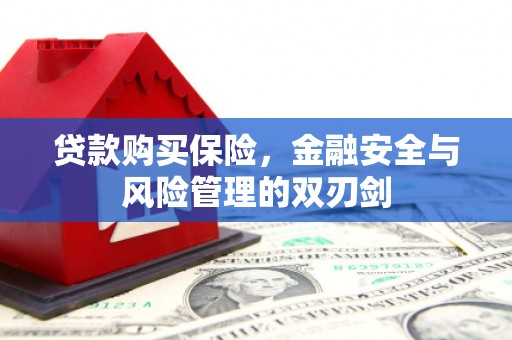 璧山贷款购买保险，金融安全与风险管理的双刃剑