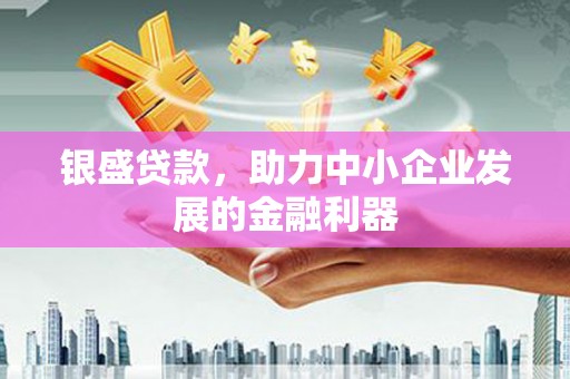 璧山银盛贷款，助力中小企业发展的金融利器