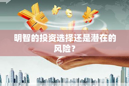 璧山明智的投资选择还是潜在的风险？
