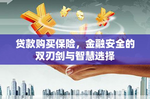 璧山贷款购买保险，金融安全的双刃剑与智慧选择