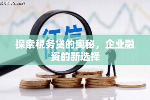 璧山探索税务贷的奥秘，企业融资的新选择