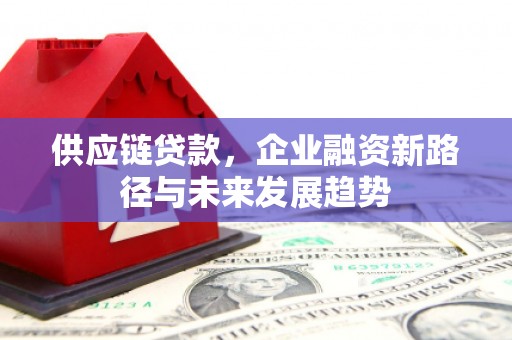 璧山供应链贷款，企业融资新路径与未来发展趋势