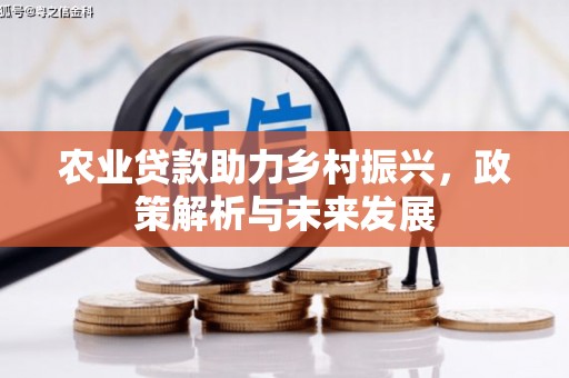 璧山农业贷款助力乡村振兴，政策解析与未来发展