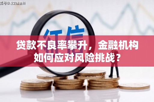 璧山贷款不良率攀升，金融机构如何应对风险挑战？
