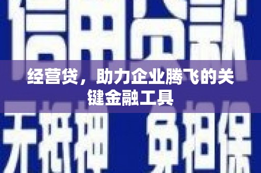 璧山经营贷，助力企业腾飞的关键金融工具