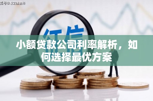 璧山小额贷款公司利率解析，如何选择最优方案