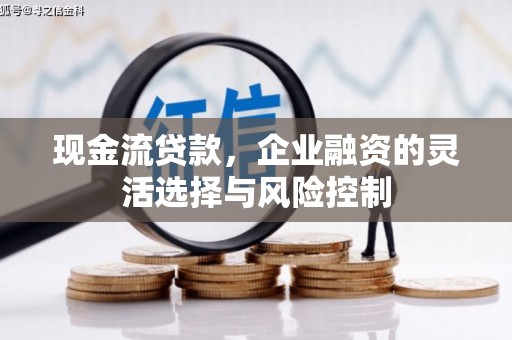 璧山现金流贷款，企业融资的灵活选择与风险控制