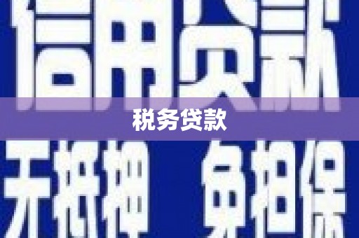 璧山税务贷款