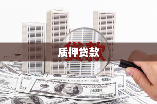 璧山质押贷款