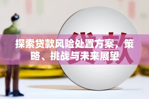 璧山探索贷款风险处置方案，策略、挑战与未来展望