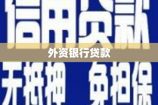 璧山外资银行贷款