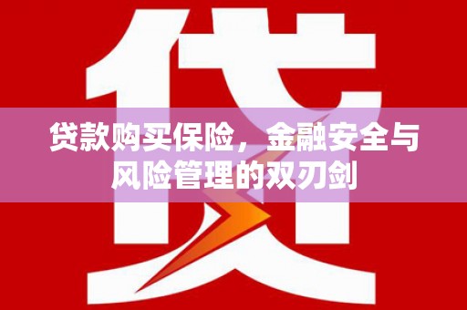 璧山贷款购买保险，金融安全与风险管理的双刃剑